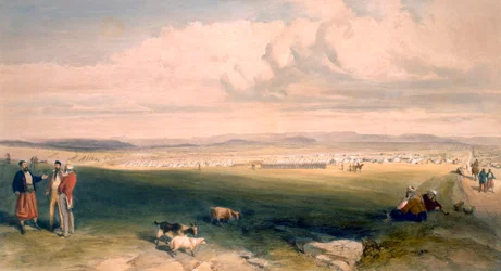 Campo della Divisione Leggera, tavola da 